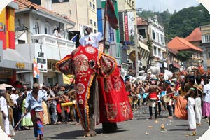 La Perahera de Kandy