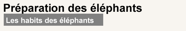 Les habits des éléphants