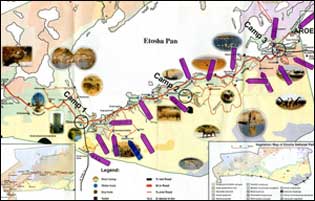 Carte d'Etosha - Namibie