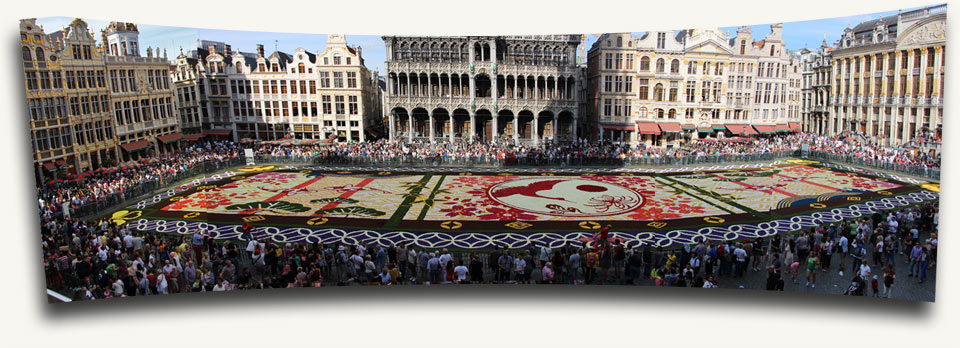 Tapis de fleurs de Bruxelles 2016