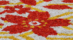 tapis floral de Bruxelles