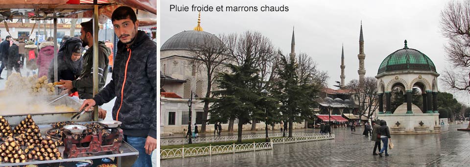 Pluies froides et marrons chauds