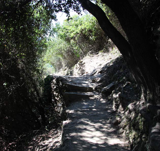 Sentier entre Vernazza et Monterosso