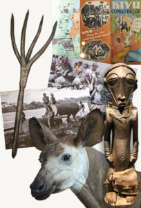 Collections de l' AfricaMuseum