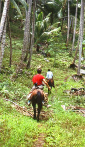 Balade à cheval aux Marquises