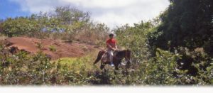 Balade équestre à NUKU HIVA