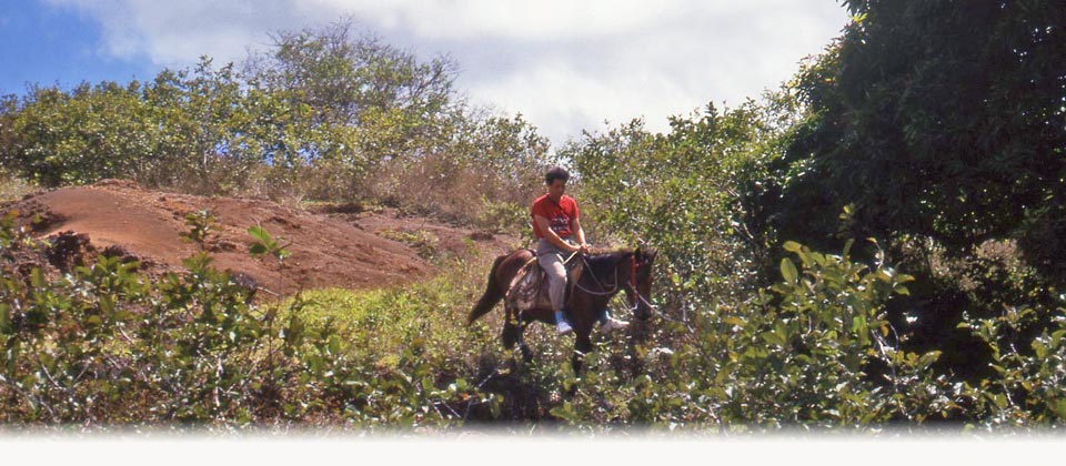 Balade équestre à NUKU HIVA