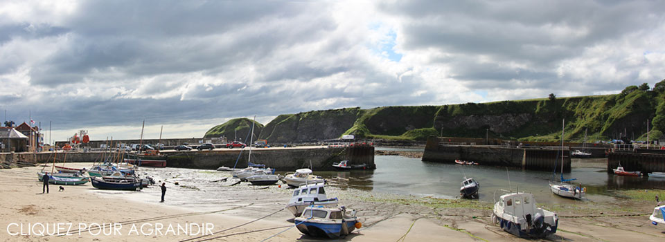 Le port de Stonehaven