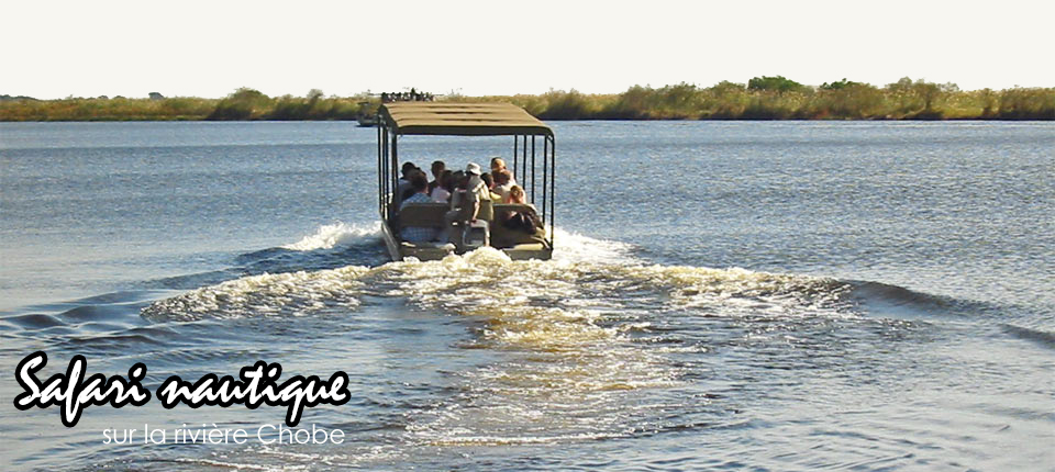 safari photo dans le Parc National Chobe