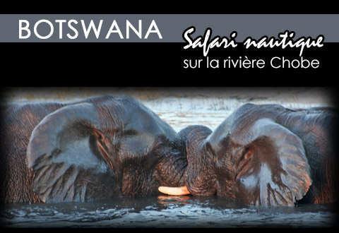 Safari nautique au Botswana