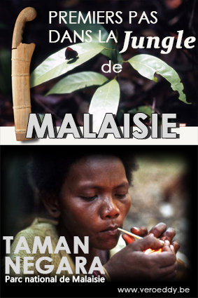 Malaisie